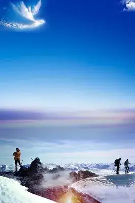 商家选择无物流发货什么意思